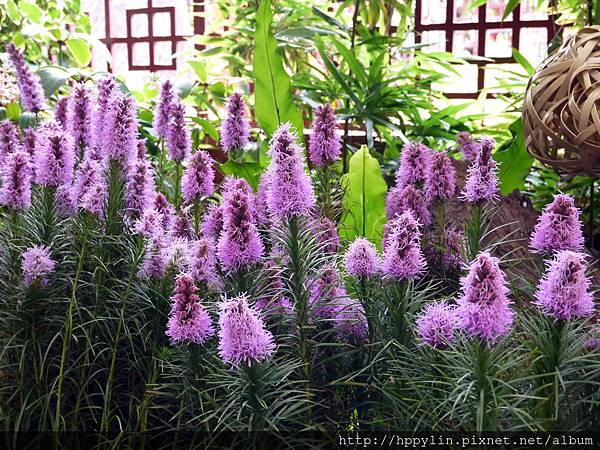 P1120001.JPG P1120001.JPG