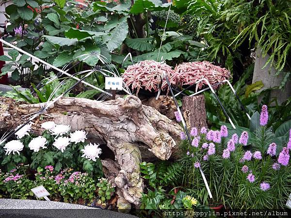 P1120021.JPG P1120021.JPG