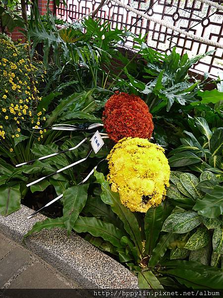 P1120022.JPG P1120022.JPG