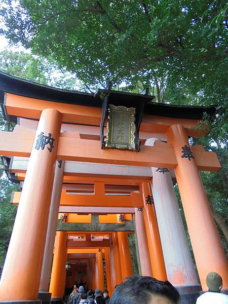 DSC04705.JPG DSC04705.JPG