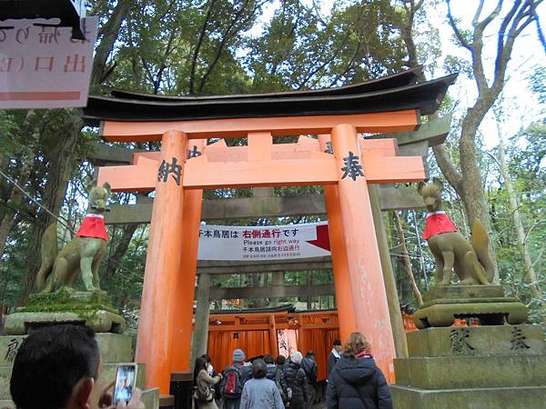 DSC04707.JPG DSC04707.JPG