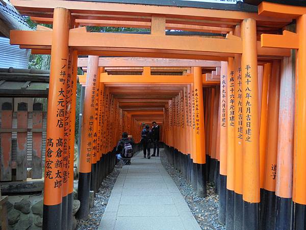 DSC04712.JPG DSC04712.JPG