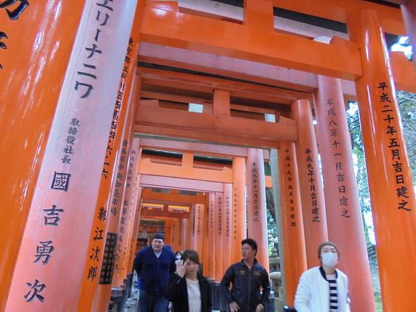 DSC04708.JPG DSC04708.JPG