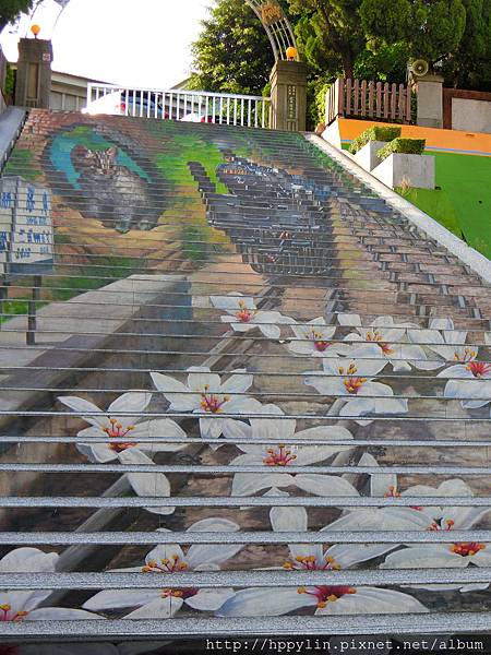 CIMG0202.JPG CIMG0202.JPG