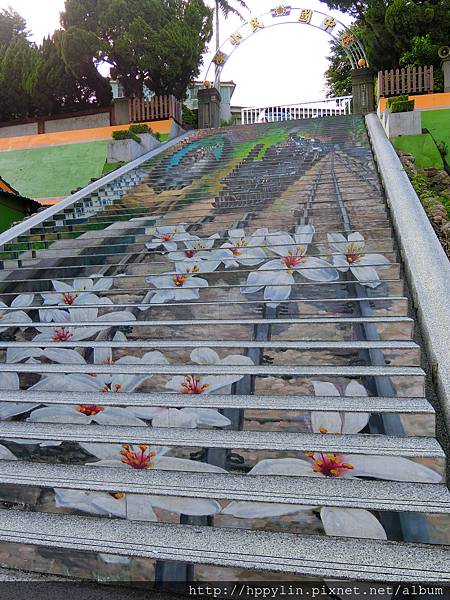 CIMG0204.JPG CIMG0204.JPG