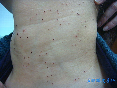 c8b9ab229456c85810981b1521441e92 c8b9ab229456c85810981b1521441e92