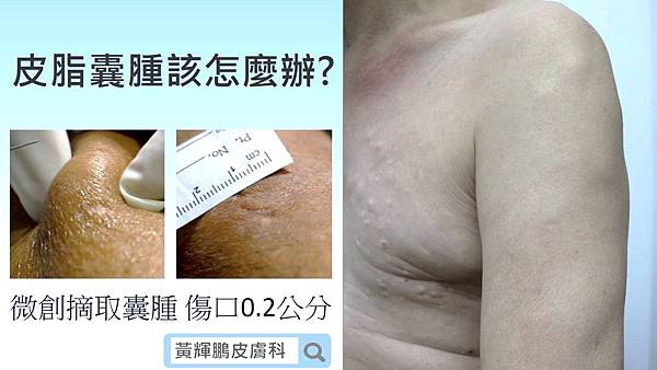 SM title.jpg SM title.jpg