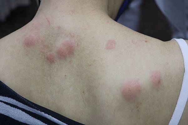 IMG_2854.JPG IMG_2854.JPG