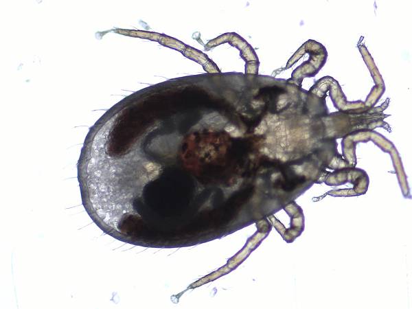 IMG00446.JPG IMG00446.JPG