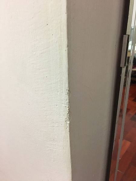 avian mite.jpg avian mite.jpg