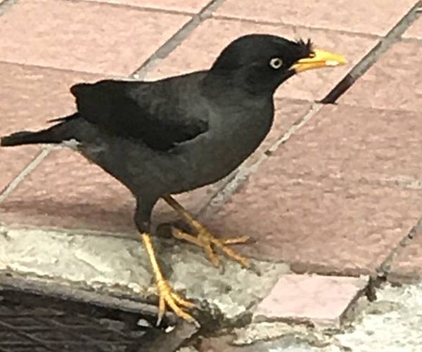 未命名 - 1.jpg 未命名 - 1.jpg