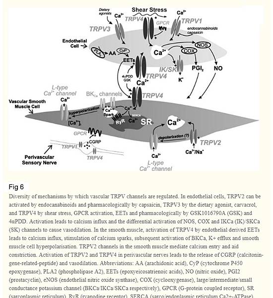 fig6.jpg