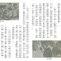 社會第8冊 怒海求生