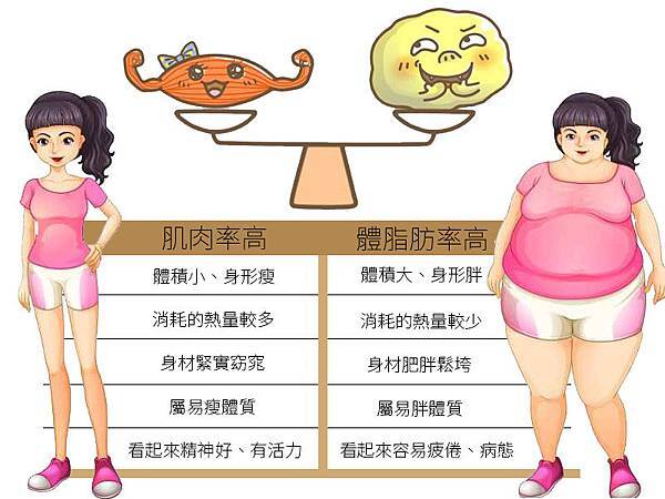 抽脂馬甲線黃金z波抽脂Z波黃金脂雕超音波抽脂體雕身材雕塑價格多少減重高雄席睿時尚美醫 (3) 抽脂馬甲線黃金z波抽脂Z波黃金脂雕超音波抽脂體雕身材雕塑價格多少減重高雄席睿時尚美醫 (3)