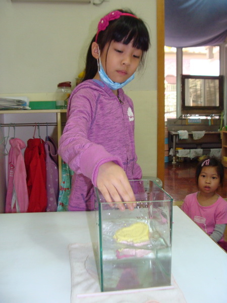 DSC01035.JPG DSC01035.JPG