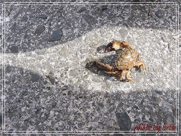 IMG_9451 IMG_9451