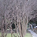 2011-1-28 048.jpg