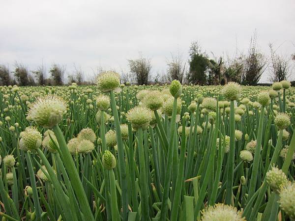 2011-3-27 051.jpg 2011-3-27 051.jpg