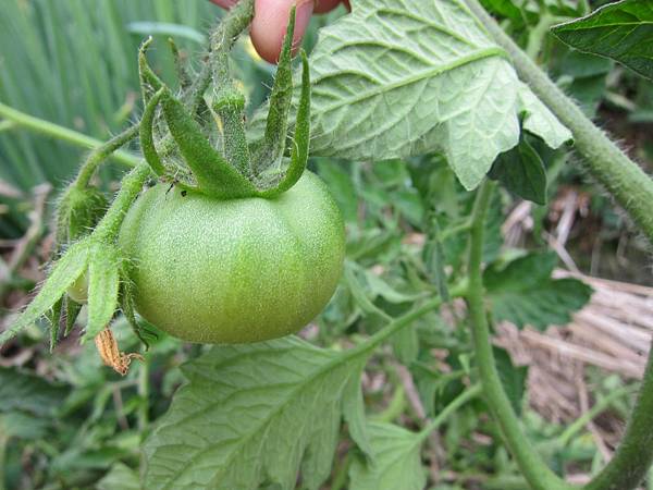 2011-3-27 076.jpg 2011-3-27 076.jpg