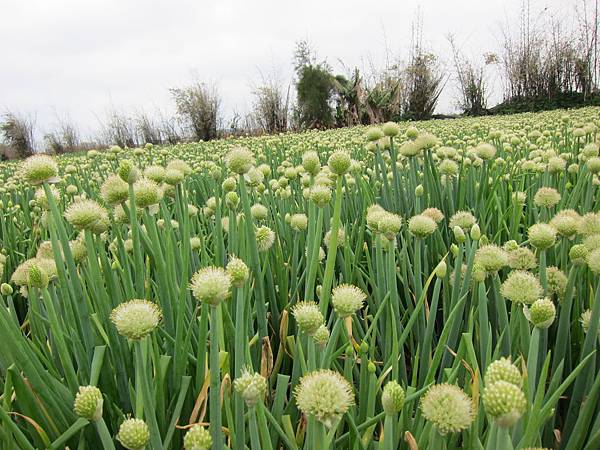 2011-3-27 050.jpg 2011-3-27 050.jpg