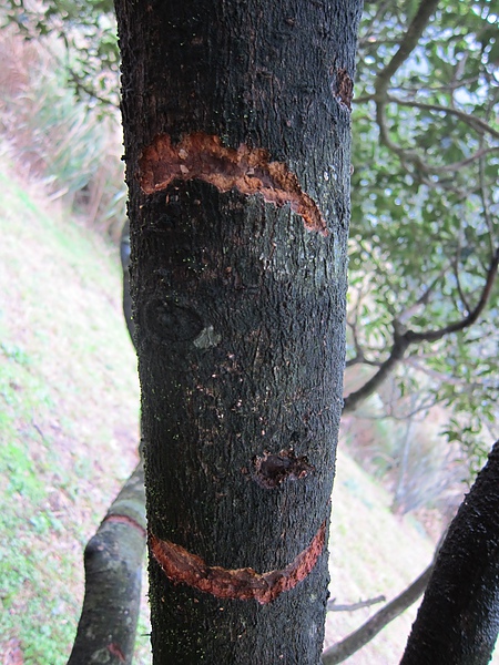 2011-2-13 058.jpg 2011-2-13 058.jpg