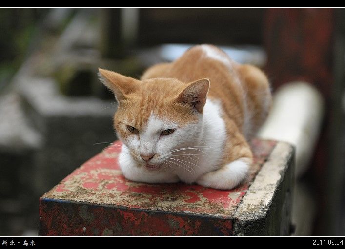 DSC_1469.jpg DSC_1469.jpg