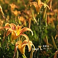 DSC_1873.jpg
