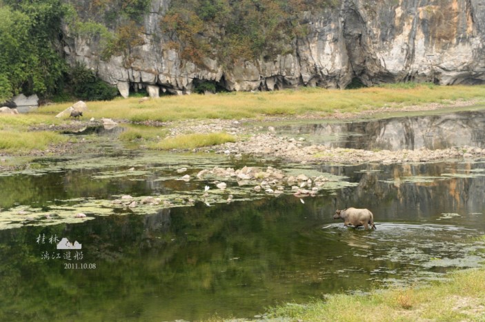 DSC_2171.jpg DSC_2171.jpg