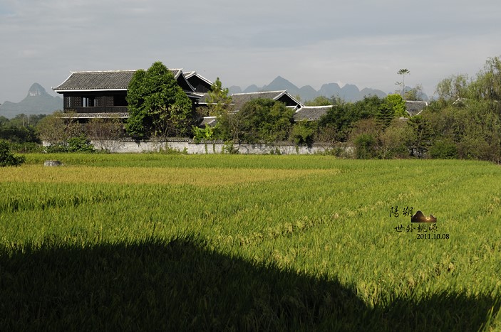 DSC_2551.jpg DSC_2551.jpg