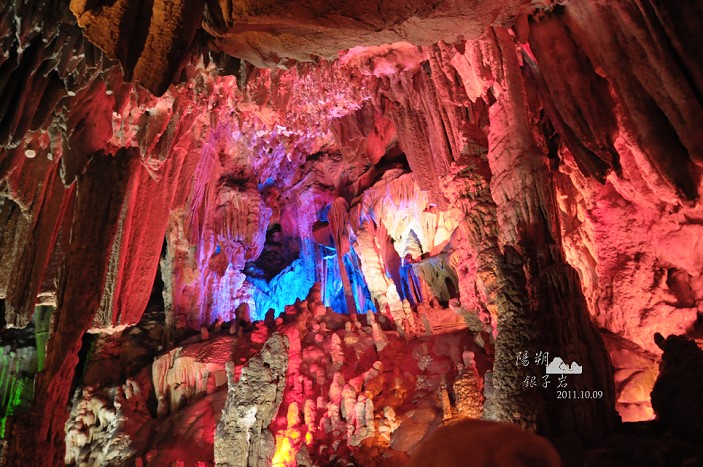 DSC_2798.jpg DSC_2798.jpg