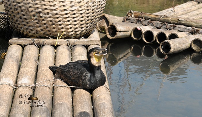 DSC_2924.jpg DSC_2924.jpg