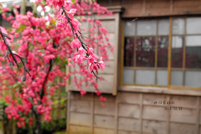 DSC_4453.jpg DSC_4453.jpg