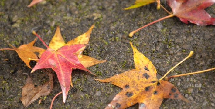 DSC_4961.jpg DSC_4961.jpg