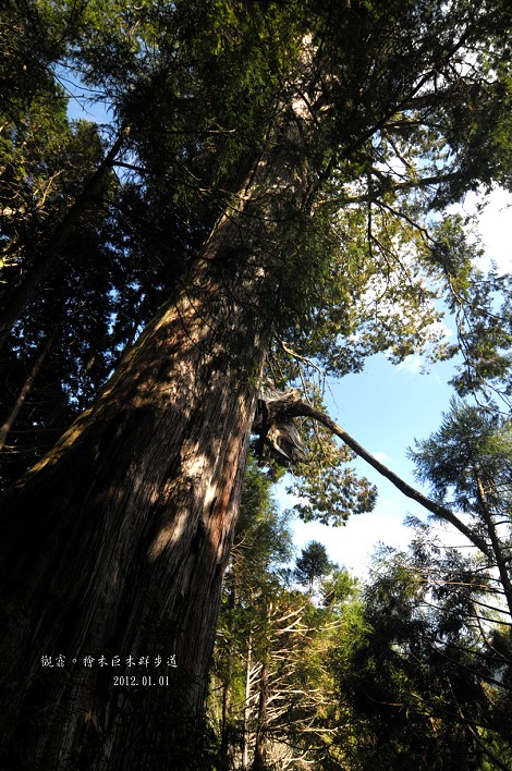 DSC_5064.jpg DSC_5064.jpg