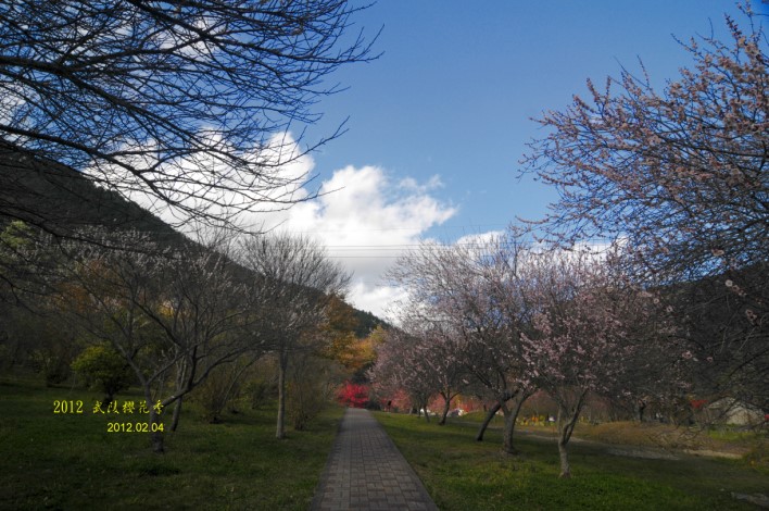 DSC_6640.jpg DSC_6640.jpg