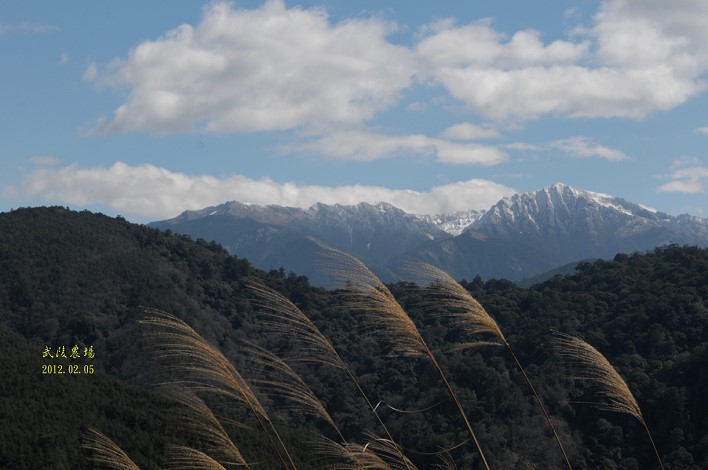 DSC_6923.jpg DSC_6923.jpg
