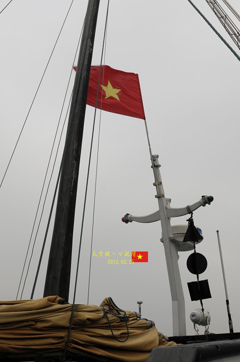 DSC_7352 DSC_7352