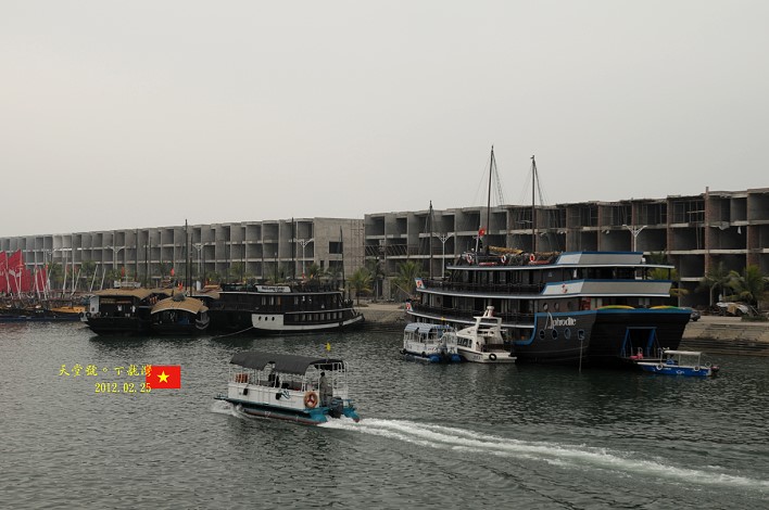DSC_7613 DSC_7613