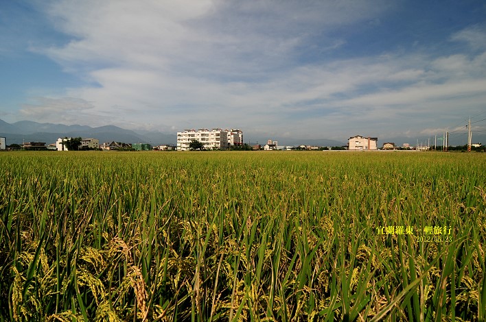 DSC_0031 DSC_0031