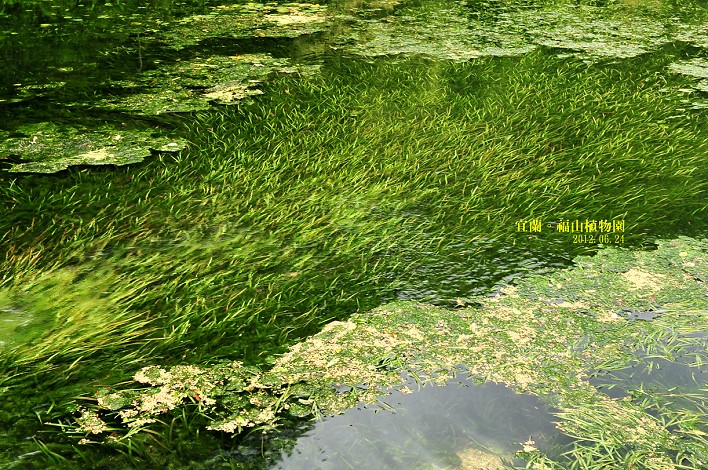 DSC_0060 DSC_0060