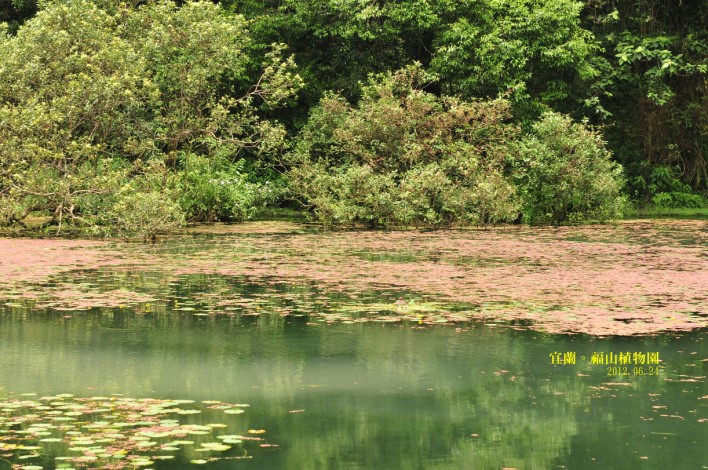 DSC_0066 DSC_0066