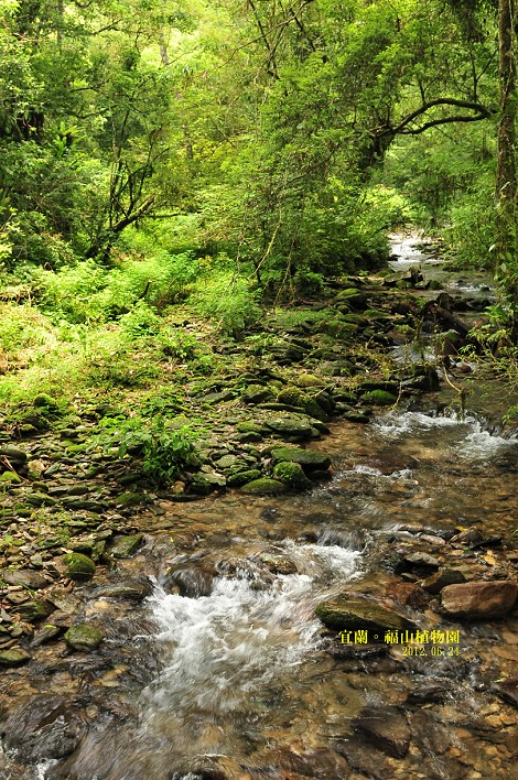 DSC_0090 DSC_0090