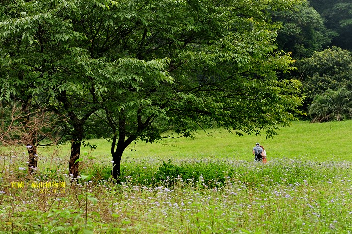 DSC_0103 DSC_0103