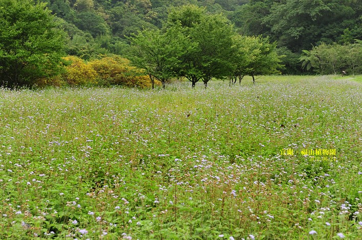 DSC_0109 DSC_0109