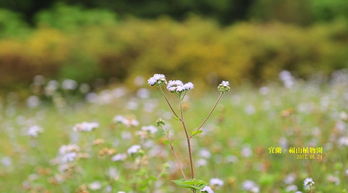 DSC_0113 DSC_0113