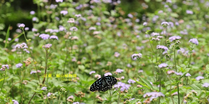 DSC_0122 DSC_0122