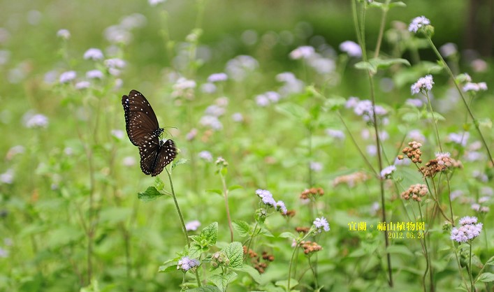 DSC_0125 DSC_0125