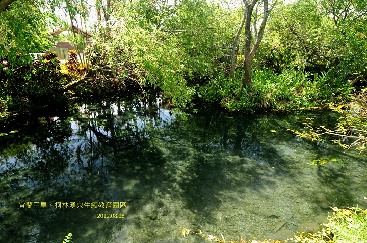 DSC_0903 DSC_0903