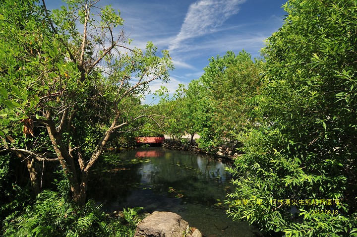 DSC_0906 DSC_0906
