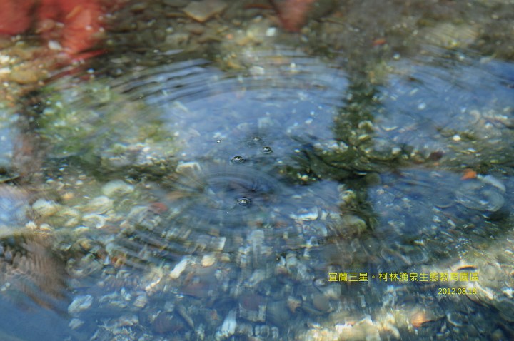 DSC_0911 DSC_0911